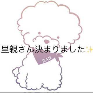 素敵な里親様✨決まりました(⁎ᴗ͈ˬᴗ͈⁎)
