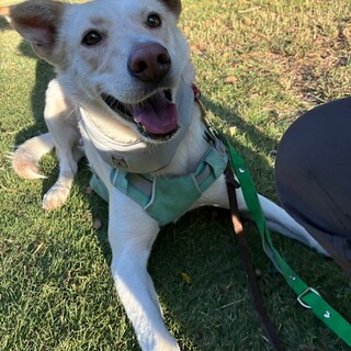 “のの” 女の子