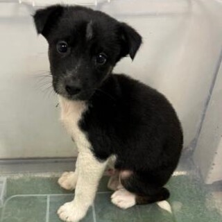 ※優先期間内にお迎えをお願いします。10/27