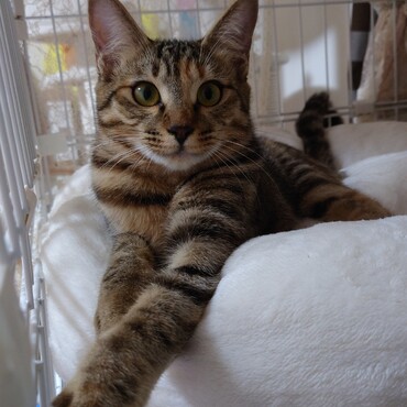 大きくなってきました♪