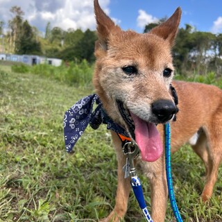 里親様決定しました！