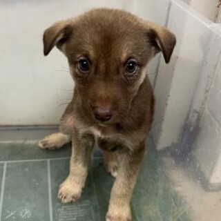 ※優先期間内にお迎えをお願いします。10/27