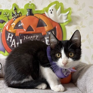 元気ハツラツ♪５兄妹　キキくん