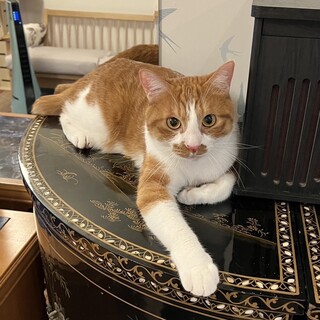 【】僕と一緒に寝てくれる？甘えん坊♡