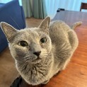 ルーズスキンでスタイルがアンバランスなゆずちゃん