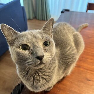 ルーズスキンでスタイルがアンバランスなゆずちゃん