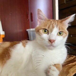 『エール』と知恵比べをしませんか？