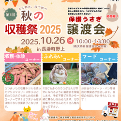 保護うさぎさんの譲渡会 in 秋の収穫祭2025