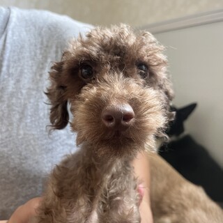 素敵なご縁がありました甘えん坊さんです。