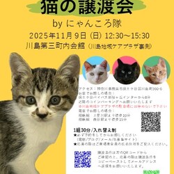 猫の譲渡会　by にゃんころ隊 11/9