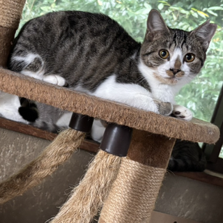 調整中のため一旦ストップさせていただきます