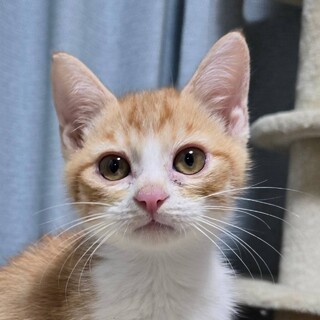 11/23荒川区荒川公園　 　 風来くん