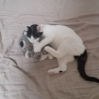 トライアル期間作ります！