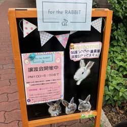 保護うさぎさんに逢おうの会in大阪 サムネイル1