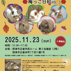 保護うさぎさんに逢おうの会～梅っこ日和VOL.3~