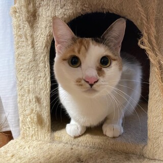 人さん大好き★次女的性格ちゃっかりビアンコちゃん