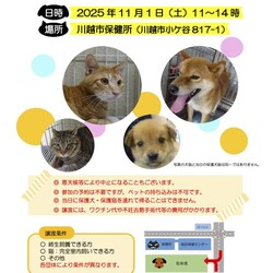 川越市保健所主催の譲渡会に参加します！ サムネイル1