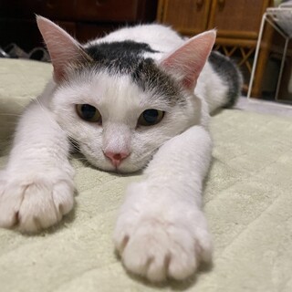 物怖じしない❤️もっちり女子