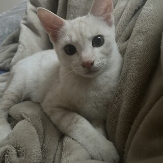 ありがとうございました