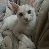 ありがとうございました サムネイル1