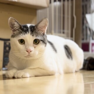 さわった瞬間シャチホコ❤️