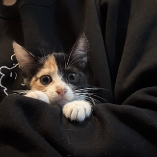 元気いっぱい控えめなむぎ