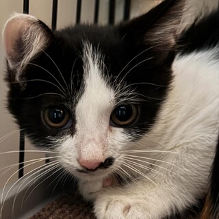 小さいけど強気な うみ