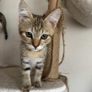 かわいいグリちゃん❣️