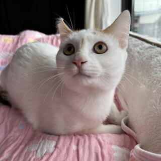 【トライアル決定!!】人大好き甘えん坊♡