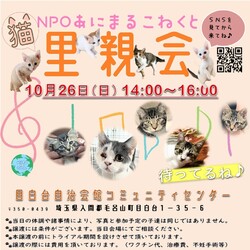 あにこね里親会