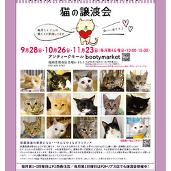 Bootymarket × [sakuraneko] 猫の譲渡会