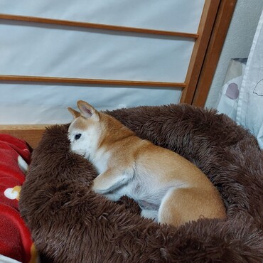 葵姐さんのコレ♡なんだか気持ちいいのぉ♪