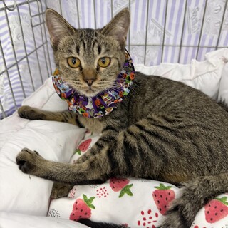 おっとりの甘えん坊♡のいちゃん６カ月