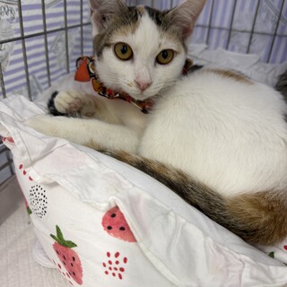 べったり甘えん坊♡ういちゃん６カ月