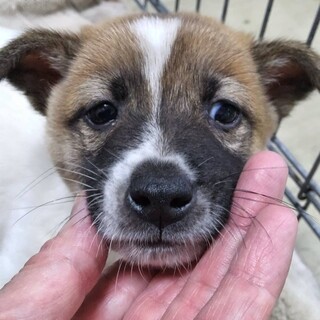 ※優先期間内にお迎えください。10/29