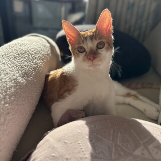 【11/16三田】初心者お子様歓迎甘えん坊元気ペア