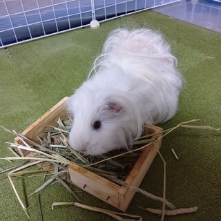 沢山遊んでくれる？