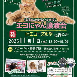 ○o*エコにゃん譲渡会*o○☆