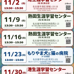 ▼猫の譲渡会▼名古屋市港区