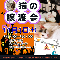 「11月1日の猫にゃんネットワーク府中の譲渡会へ参加」サムネイル1