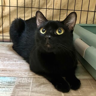 無邪気に遊ぶイケメンさん