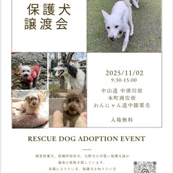 わんにゃん道中膝栗毛　犬猫譲渡会