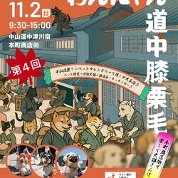 わんにゃん道中膝栗毛　犬猫譲渡会 サムネイル2
