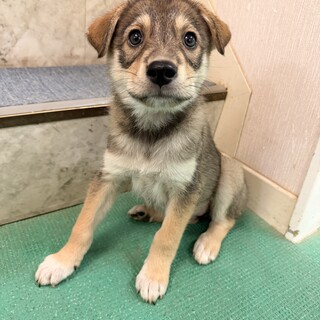 8月生まれ　明るくホワンとした可愛い女の子