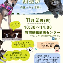 いぬねこ譲渡会