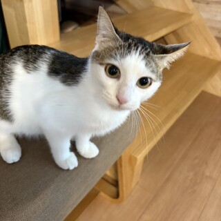 フレンドリーなつきちゃん❣️