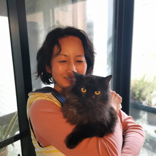 みなとキャットのカバー写真
