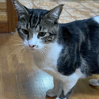 なれなれの夢くん❣️