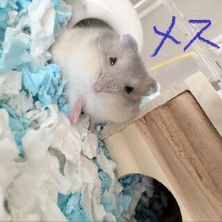 新しい家族が決まりました☆