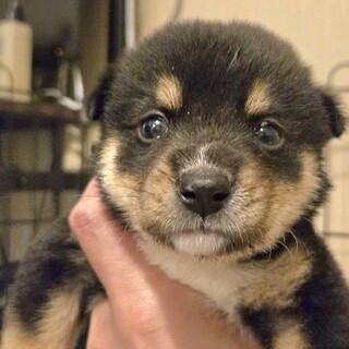 生後1ヶ月男の子②